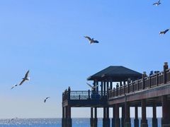 -北戴河碧螺塔海上酒吧公园