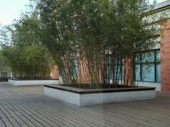 -复旦大学附属华山医院(浦东院区)