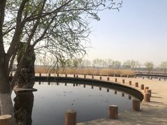 -绿堤公园