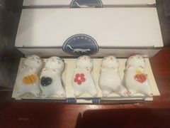 -猫咪博物馆(顶澳仔猫街店)