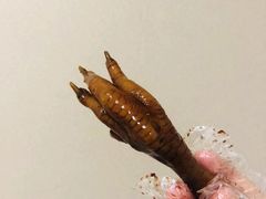 -鸡脚旮旯平江路店