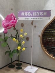-dōTERRA多特瑞精油生活馆