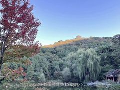 -水煮三国·川鲁江湖菜(香山店)