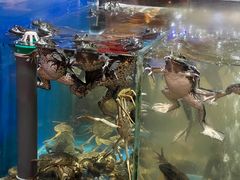 -小酒吧烧烤(爱建店)