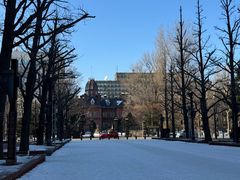 -北海道厅旧本厅舍(旧本庁舎)