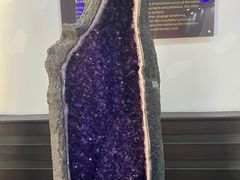 -游龙石文化科普馆