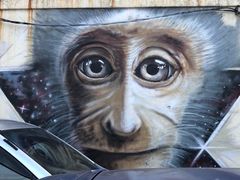 -槟城街头艺术街区