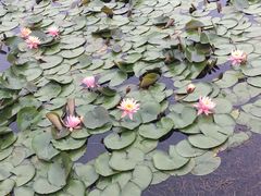 -尚贤河湿地