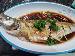 -掌勺人鱼馆(朝阳镇店)