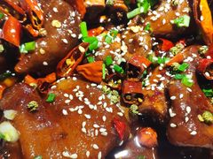 香辣美容蹄-雲蜀龙阁·金牌水煮鱼(方庄店)