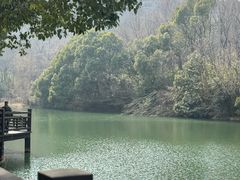 -白马涧龙池景区