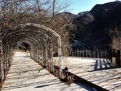 -金岳台私汤温泉度假山庄·创意餐厅(昌平十三陵店)