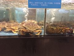 -都市阳光海鲜城(青山湖店)