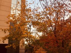 -哈工大一校区食堂