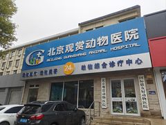-北京观赏动物医院·24小时大型综合·猫专科·异宠专科