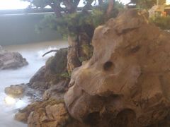 -潮上潮(南中环店)