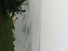 同里湖度假村二期-同里湖度假村(二期店)