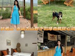 -伏羲山旅游区