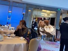 大堂-金苑海鲜酒家(来魅力店)