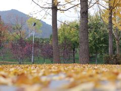-北京水岸山吧度假村(雁栖镇店)