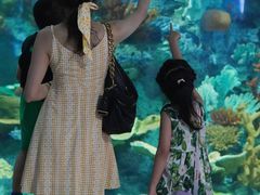 -福州罗源湾海洋世界旅游区