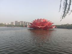 -洛阳市隋唐城遗址植物园