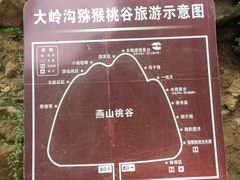 -大岭沟猕猴桃谷风景区