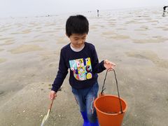 -红树林天天赶海