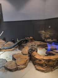 -未来动物城动物主题公园(大悦城店)