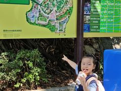 -深圳野生动物园