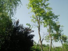 -白鹭湾湿地公园