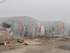 -喜杨洋草莓采摘园