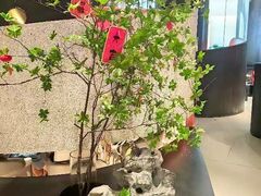 -新兴·金羊座·粤菜点心(乐峰店)