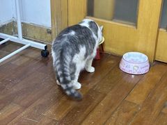 -艾贝尔宠物医院·宠保定点·超声绝育·免疫点(樱花路店)