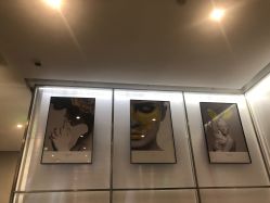 -崇尚GAVIN STYLE臻选