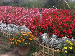 -北纬44度·金珠花海休闲农业旅游景区