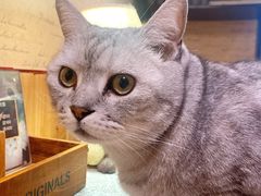 -隅cafe(傅厚岗店)