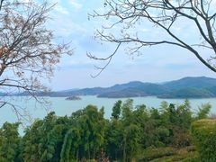 -天目湖涵田半山温泉