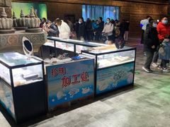 -华夏文旅海洋公园