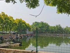 -亲兄弟真人CS团建拓展基地