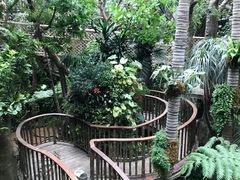-正佳雨林生态植物园