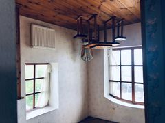 -金山农民画村-枫泾波兰倒置屋