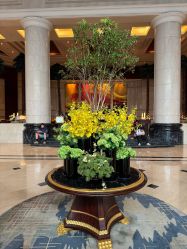 -光大会展中心国际大酒店-宴会厅