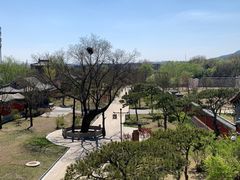 -晋祠公园
