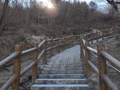 -白水寺森林公园