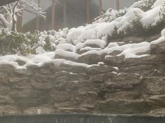 -江南天池高山汤泉城
