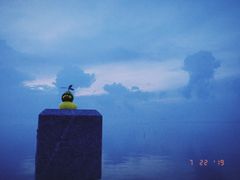 -崖口云吞(中堡店)