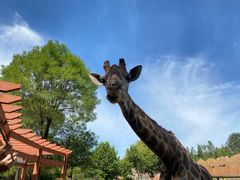 -济南野生动物世界