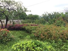 林屋洞景区-林屋洞景区