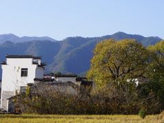 -塔川景区